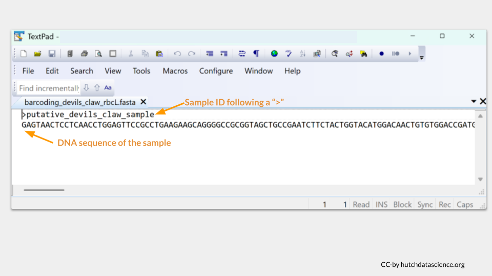 This is an example of the fasta file formatting.