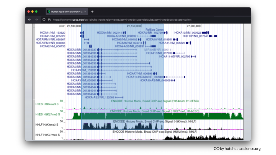 HOXA1 through 7 are highlighted to indicate expression is turned on.