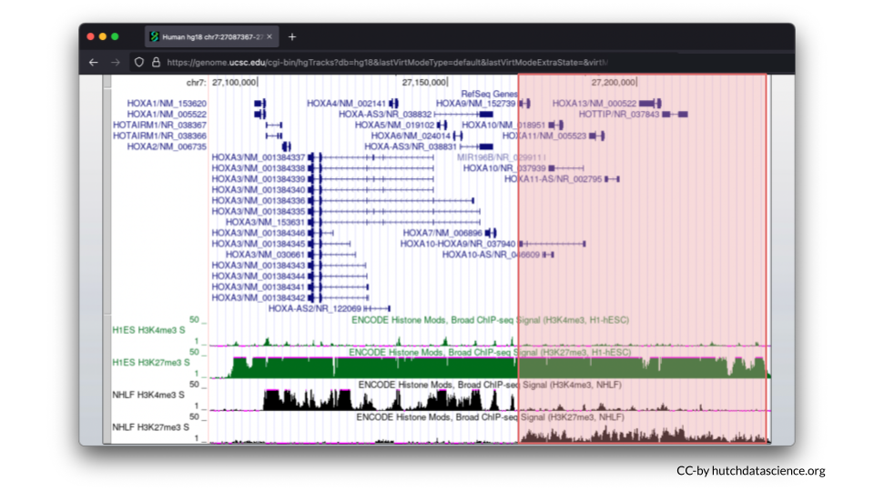 HOXA9 through 13 are highlighted to indicate expression is turned off.