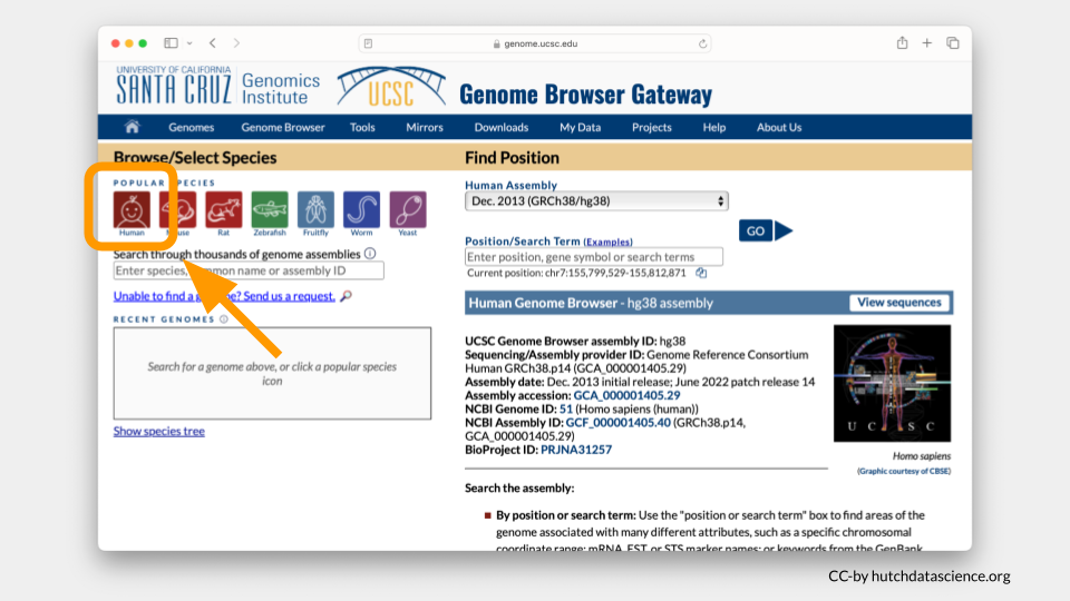 Landing page for the UCSC Genome browser Gateway.