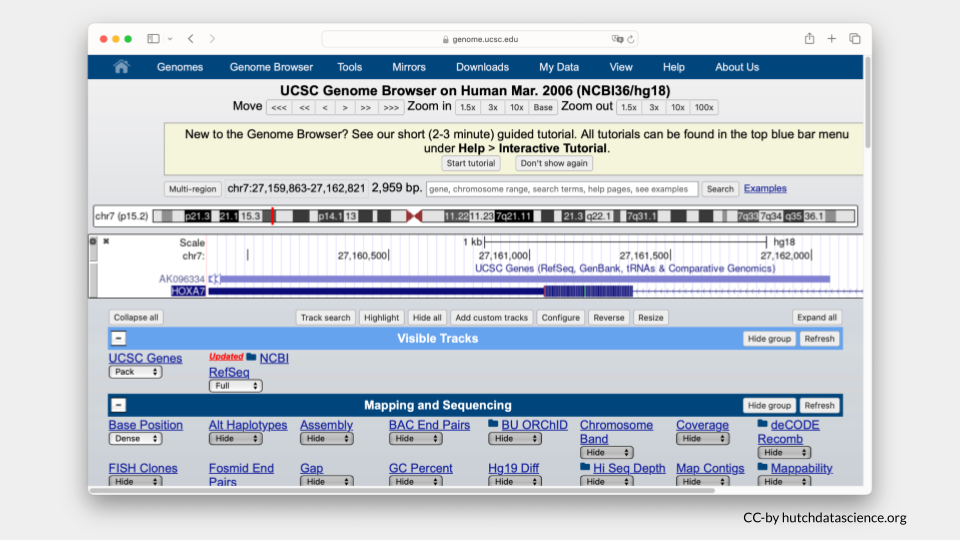 The genome is zoomed in to the HOXA7 gene.