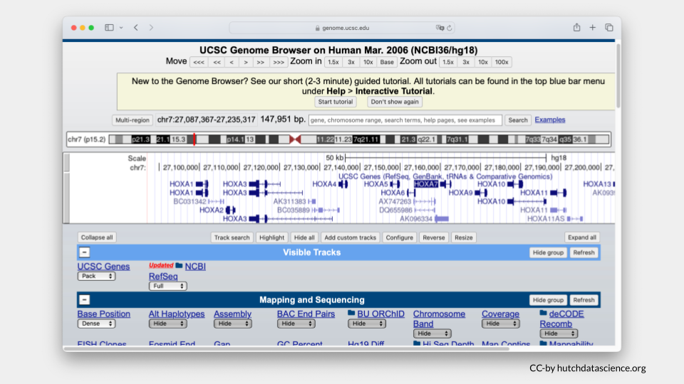 HOX loci are now visible on the genome.