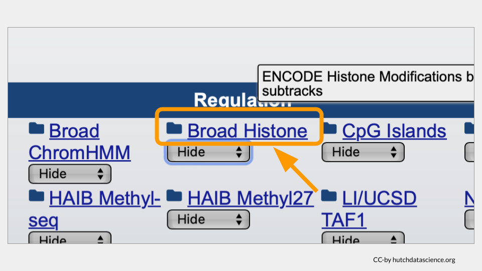 The Broad Histone track hyperlink is highlighted.