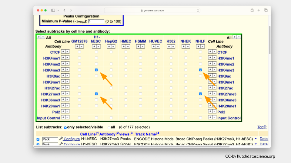 Selected cell line and antibody combinations have been highlighted.