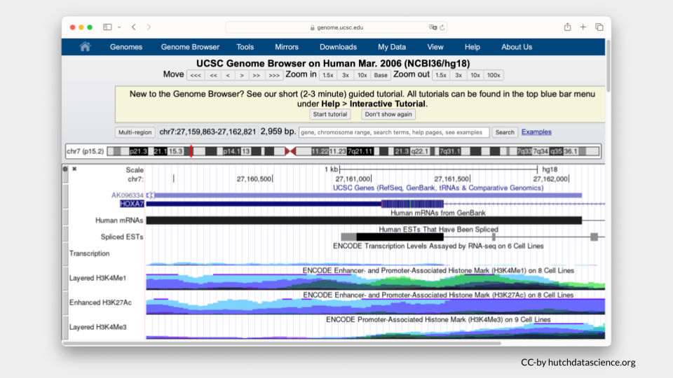 Dec 2013 assembly results for the HOXA7 locus.