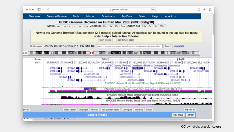 Histone marks are shown below the HOXA loci in the genome browser.