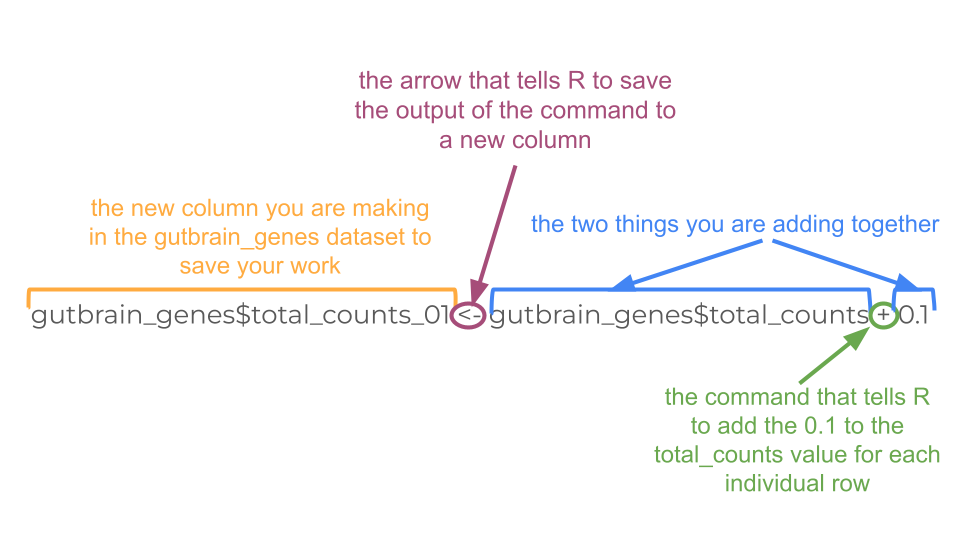This R command tells R to make a new column that is the sum of total expression counts and 0.1