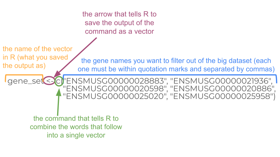 This code creates a vector called gene_set that includes the GeneIDs of the genes whose expression we want to visualize as a heatmap.
