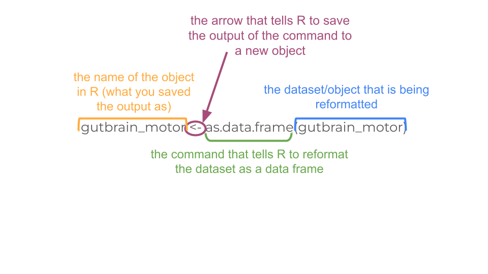 This code changes the format of the object gutbrain_motor.