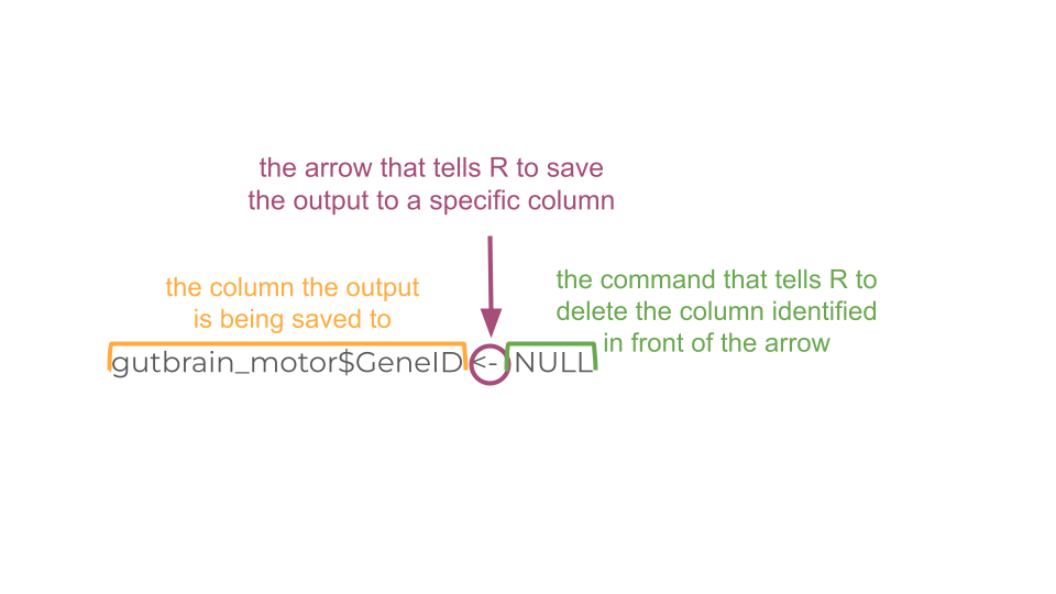 This code deletes a column we no longer need.