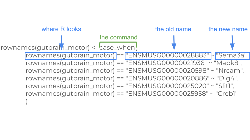 case_when lets us change the Ensembl gene IDs to more recognizable gene symbols.