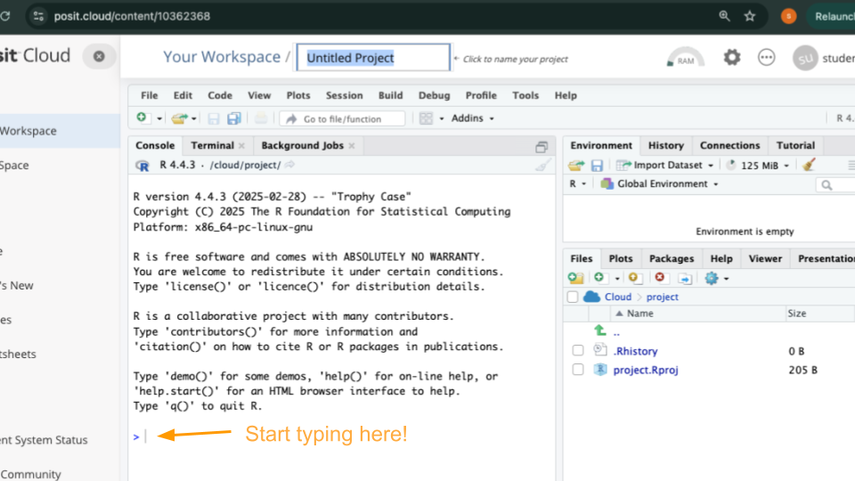 This is where you start typing in order to use the console in Posit Cloud
