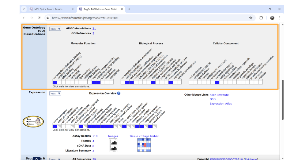 If you continue scrolling down the page, you can also examine the pathways and processes the gene product is involved in under the “gene ontology” section.