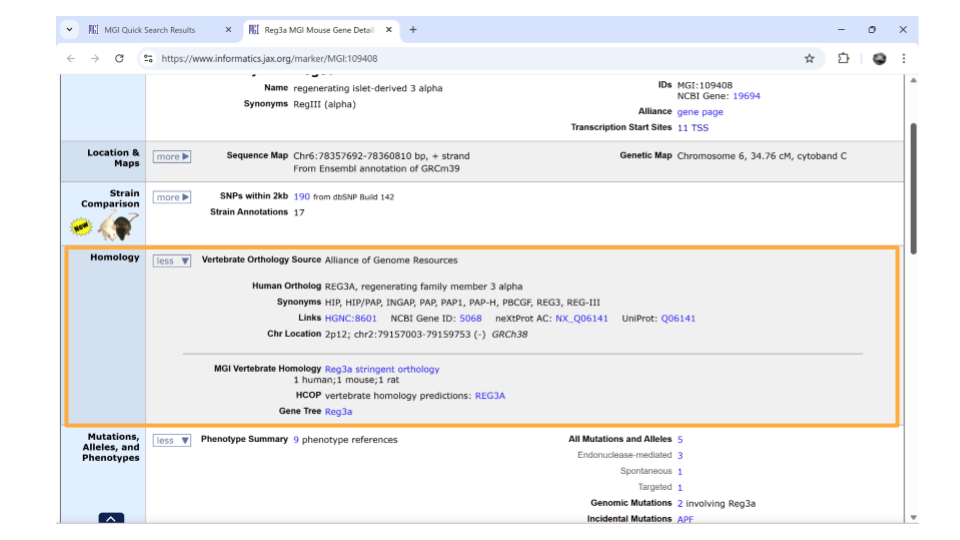 You can find information about possible human homologs to the mouse gene, including alternate names and where the human homolog is located in the human genome.
