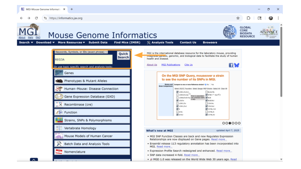 Type the name of the human gene REG3A into the search bar.