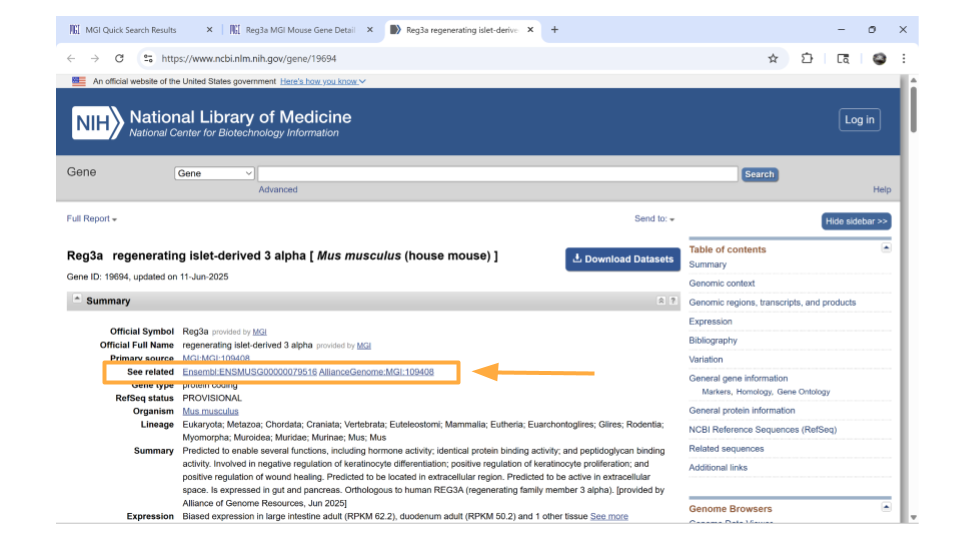 You can get the Ensembl ID for the mouse gene on the NCBI page.
