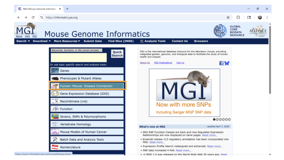 To look up genes associated with a particular disease, choose the Human-Mouse: Disease Connection tab.