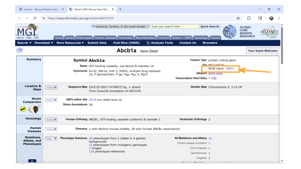The summary section of the Abcb1a gene has a link to the NCBI page about this gene.
