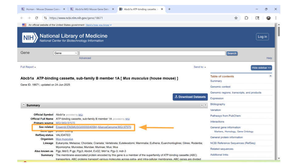 You can get the Ensembl ID for the mouse gene on the NCBI page.