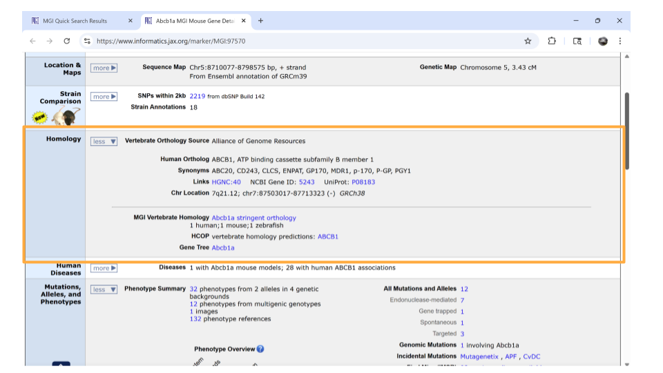You can find information about possible human homologs to the mouse gene, including alternate names and where the human homolog is located in the human genome.