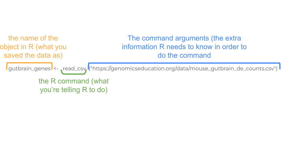 This R command tells R to open the csv file that exists at a URL and save it as an object called gutbrain_genes.