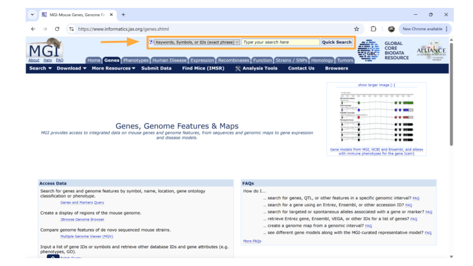 Type the gene ID into the “Search” bar up top.